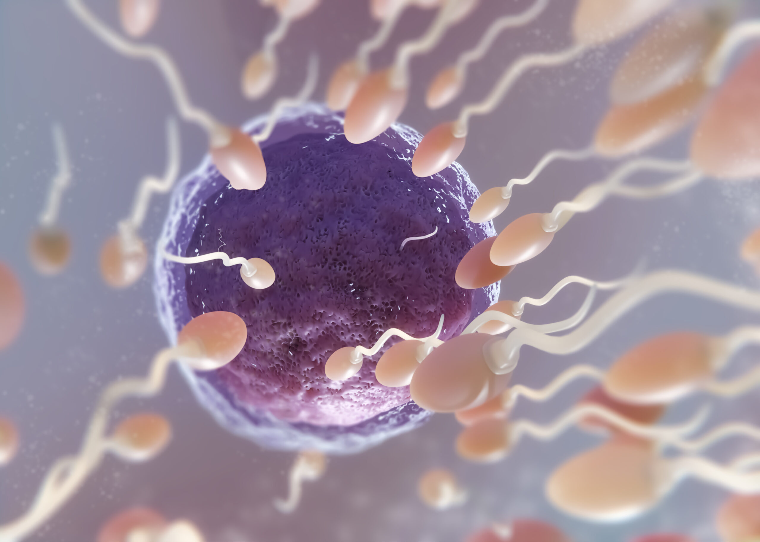Delayed Ejaculation Affects Fertility